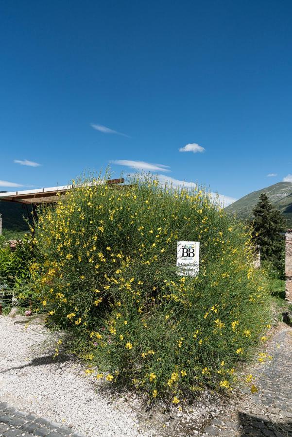 B&B Il Grottino Di อัสแซร์จิ ภายนอก รูปภาพ
